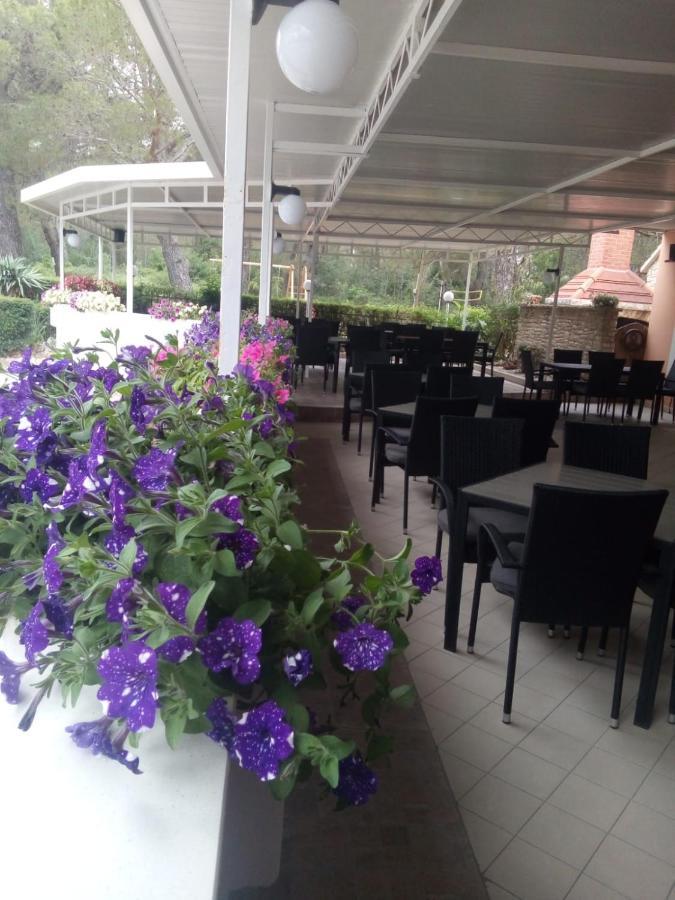 Pensjonat Pansion Restoran Marin